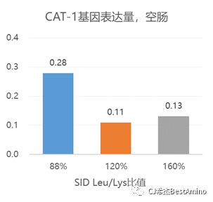 1694400774123349.png 6.png