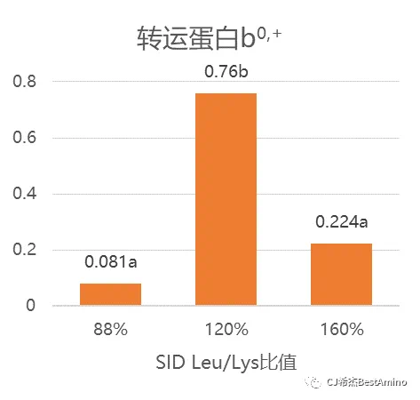 1694401992660836.png 1.png