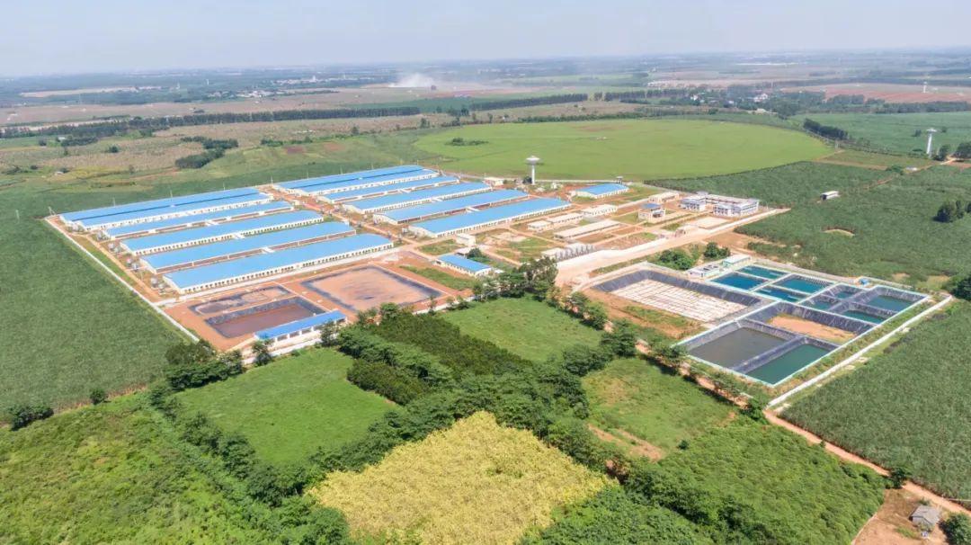 1700443815943394.jpg 3.jpg