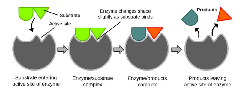 1714471909859061.png 146_副本.png