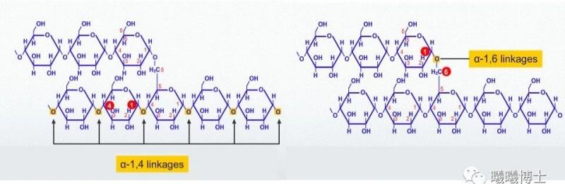 1714471926524708.jpg 145_副本.jpg