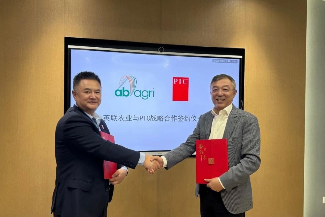 1729816828708147.jpg 34.jpg