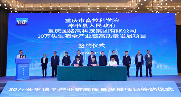 1730793325698063.png b8e7e55f97e7cf3c5c884d1c4008c534.png