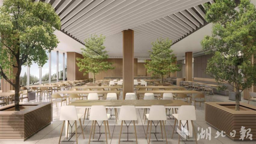 1741163759884315.jpeg 4226c.jpeg