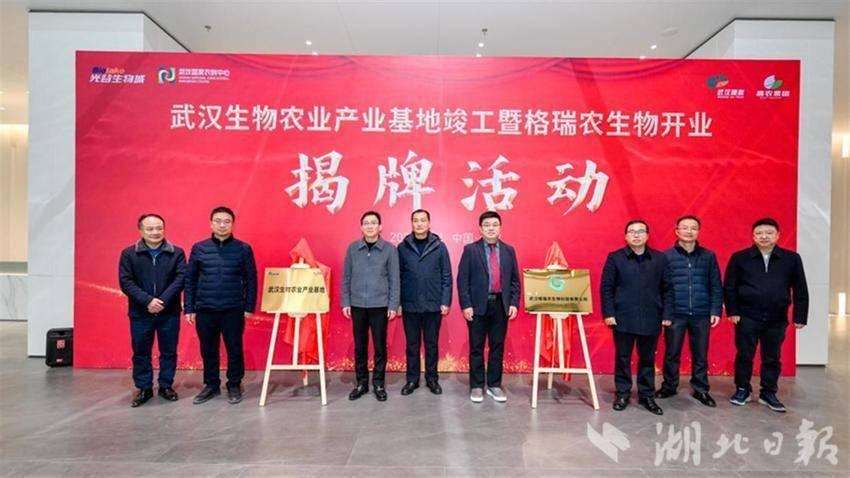 1741163779615651.jpeg e767e.jpeg