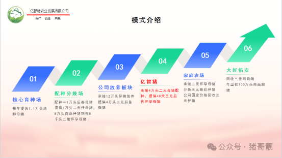 1744179328742803.png 1.png