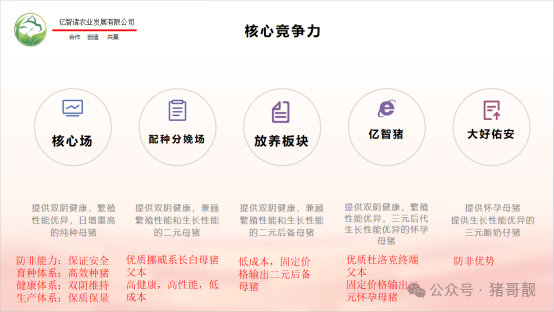 1744179355727701.png 3.png