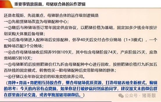 1744181044805525.png 11.png