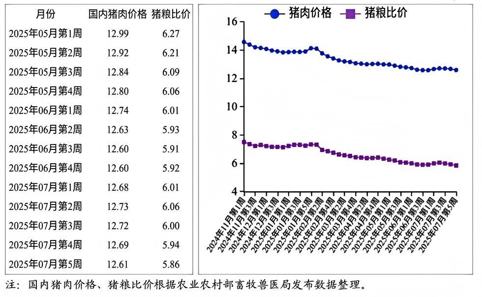 1756437825357478.jpg 111_29(1).jpg