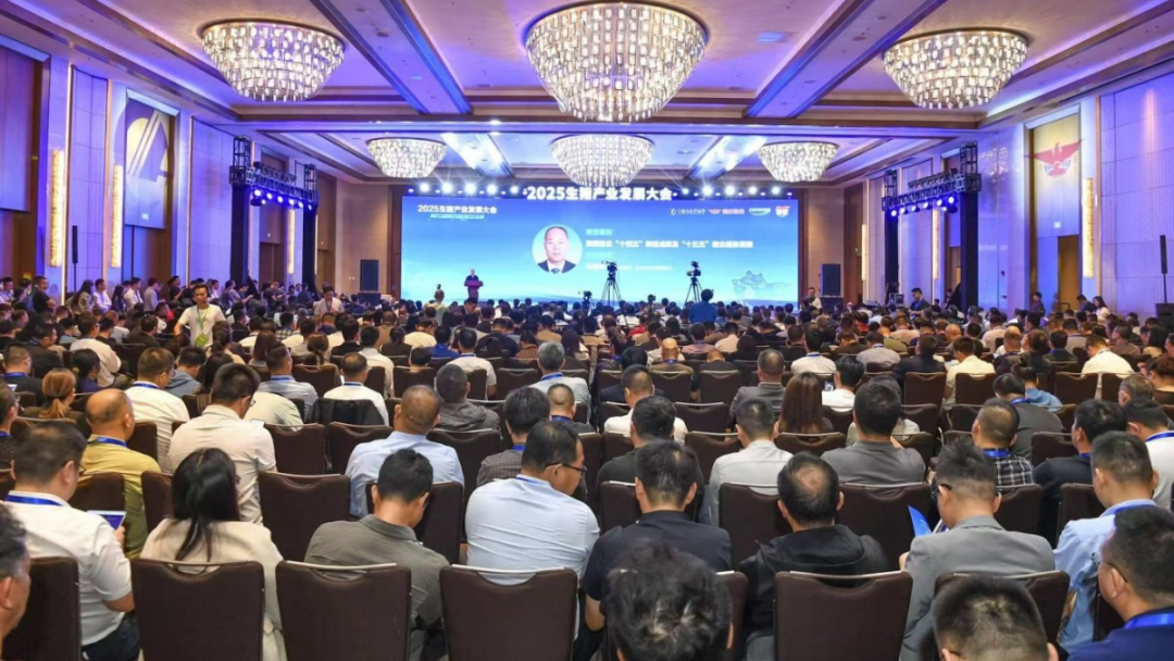 1762822894829121.png 2.png