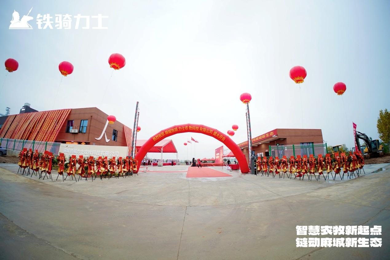 1762838946696635.jpg 1762838946696635.jpg