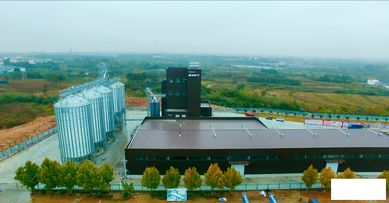 1762839259656374.gif 1762839259656374.gif