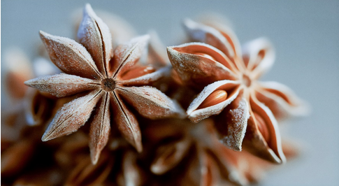 1766476466527715.png image.png