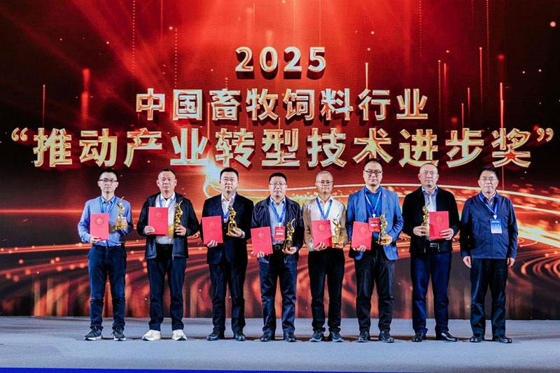 1766479335113880.jpg a2d5.jpg