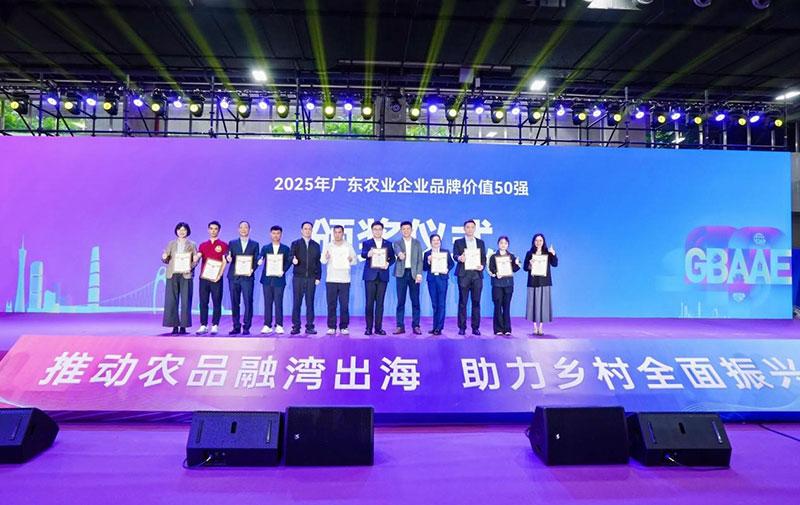 1766480345674613.jpg 100d.jpg