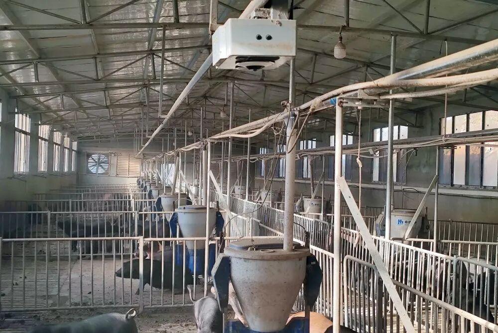 1774832199474819.jpg 微信圖片_20260330085612.jpg